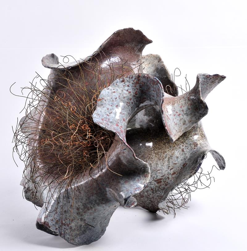 creatura_marina